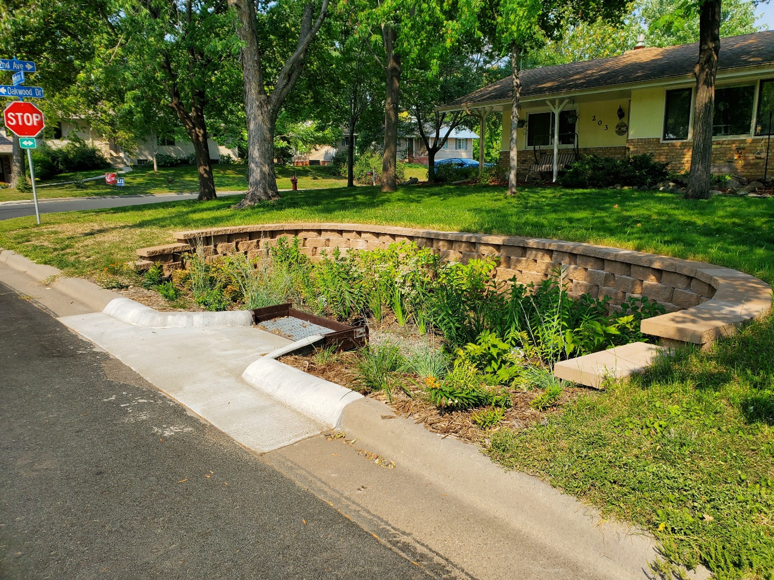 Rain Guardian Bunker in a residential rain garden