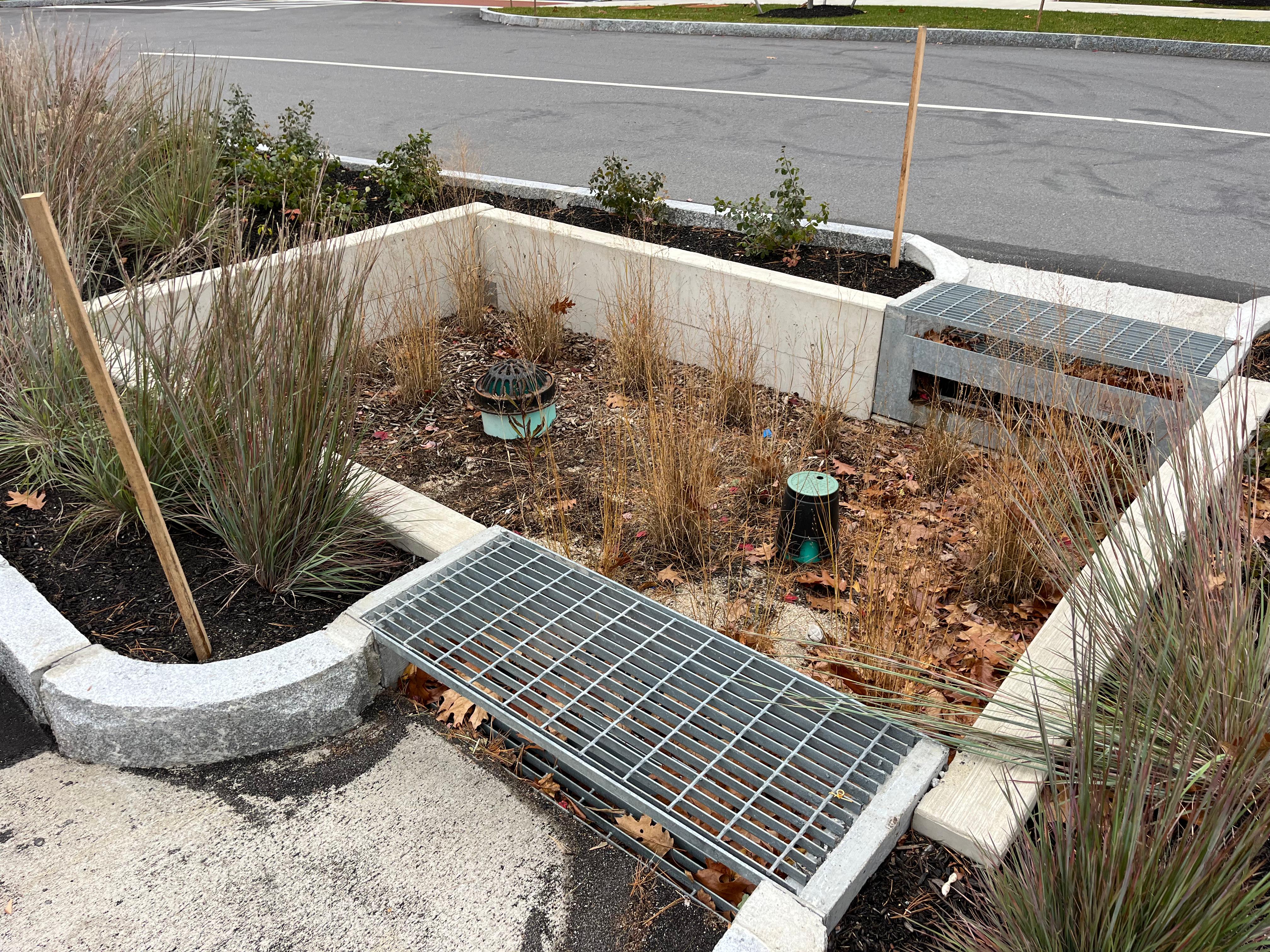 Two Rain Guardian Fortresses installed in parking lot island bioretention area
