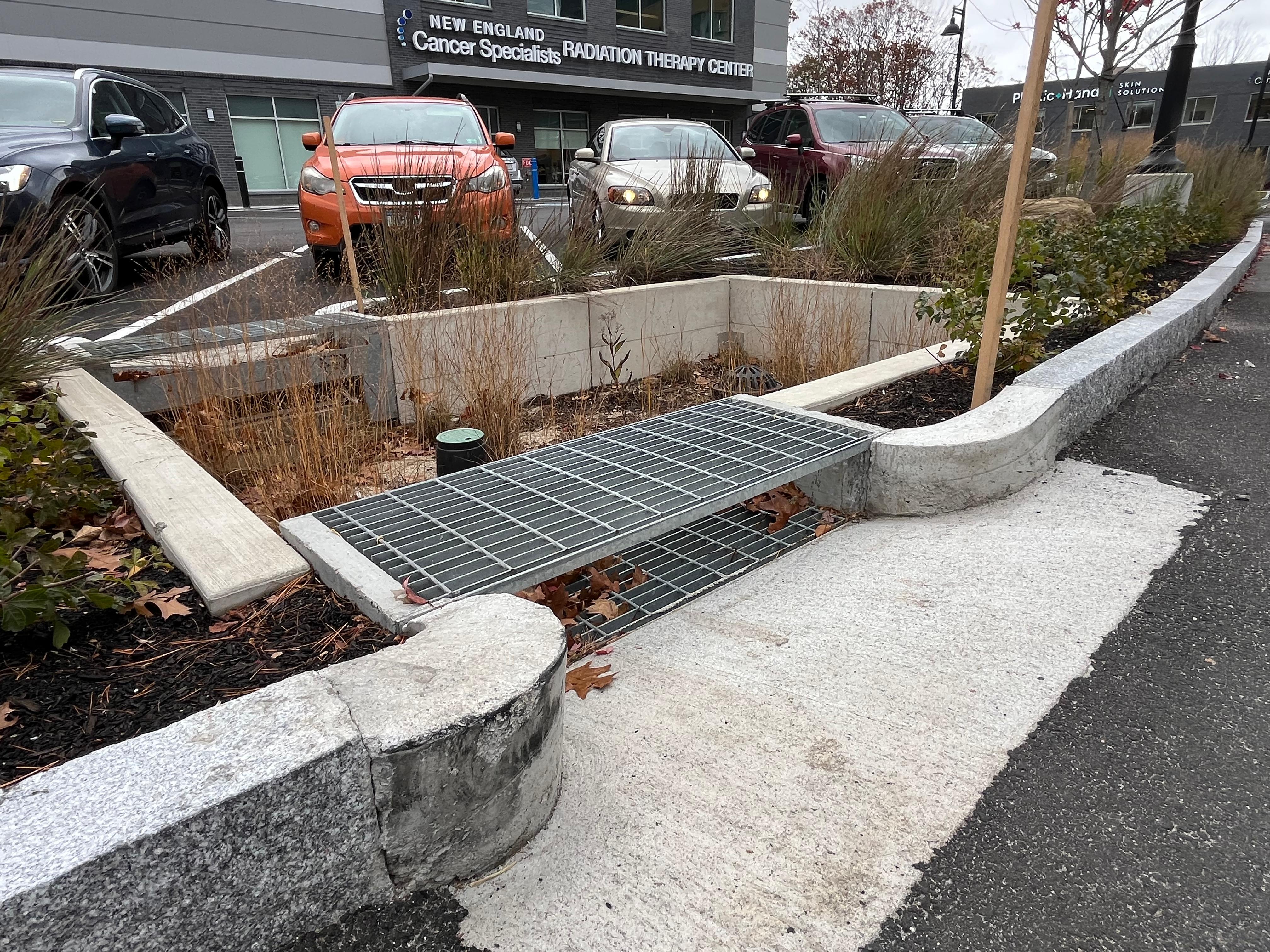 Rain Guardian Fortress installed in parking lot island bioretention area