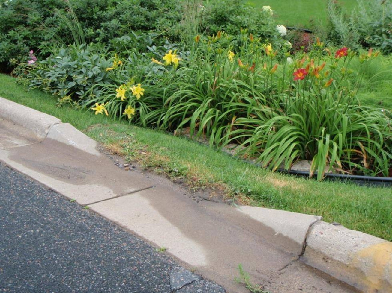 Built up sod at inlet causing low flow to bypass residential rain garden inlet