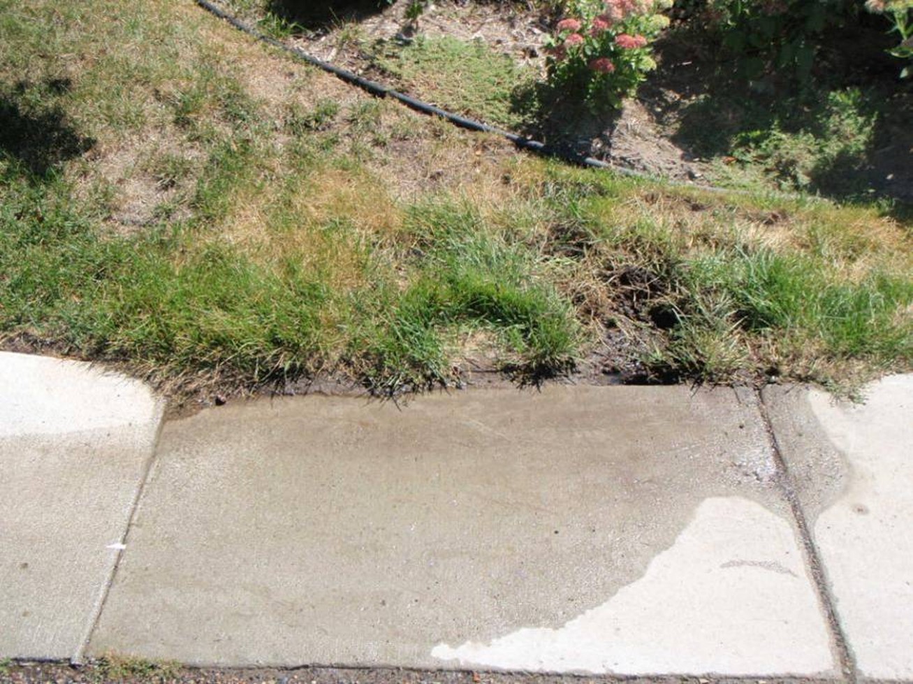 Turf grass (sod) inlet to residential rain garden