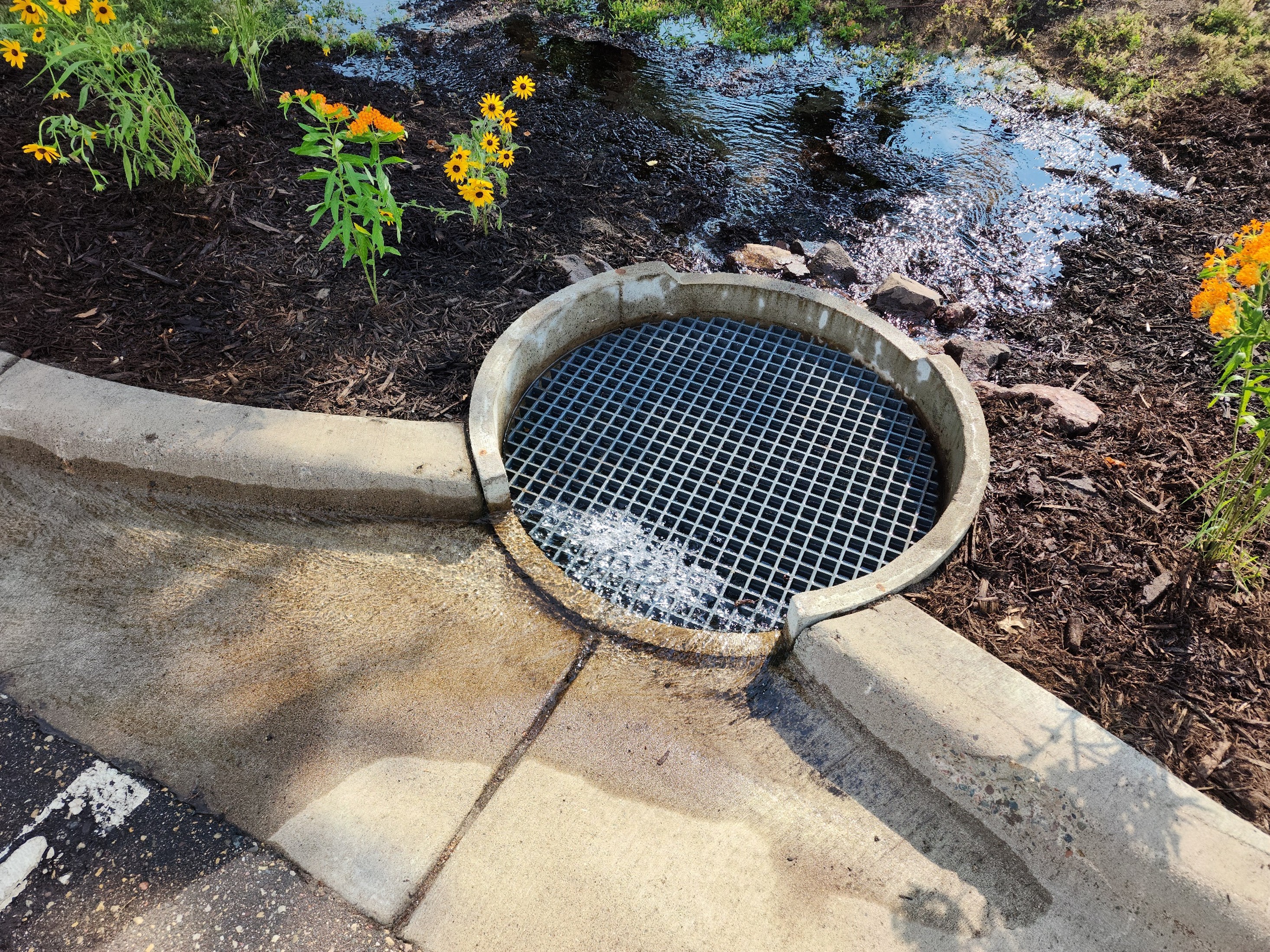 Rain Guardian Turret with a low flow of runoff entering the top grate