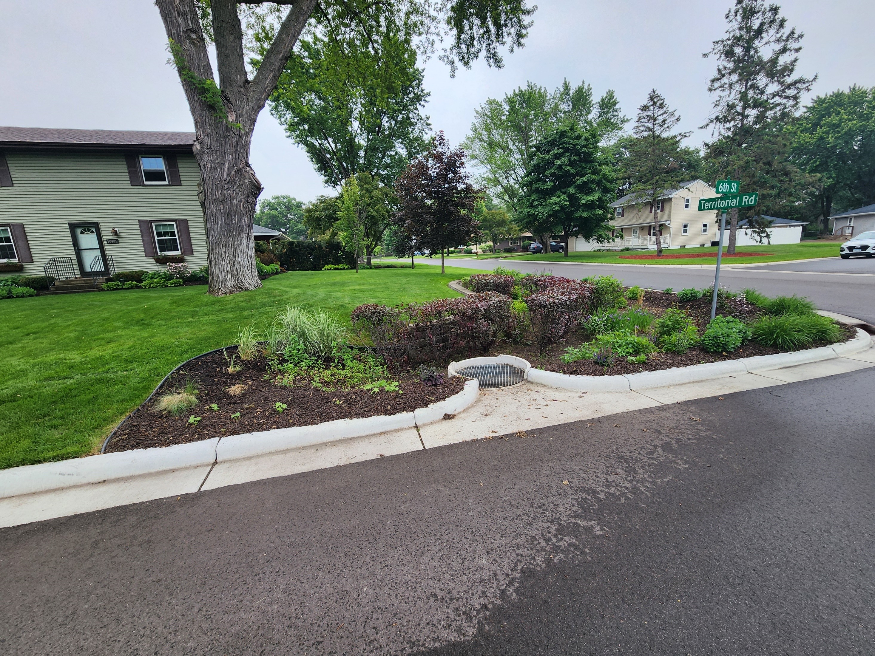Rain Guardian Turret in a residential rain garden